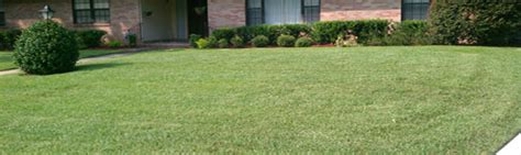 Maybe you would like to learn more about one of these? Loyal Lawn Care | A Cut Above the Rest - Jacksonville, FL ...