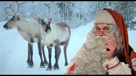 Renne Di Babbo Natale 🦌🎅 Santa Claus In Lapponia Finlandia Pello Terra Di Renne Youtube