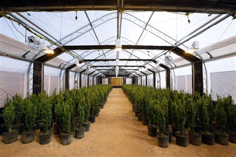 Greenhouse kit resource list and greenhouse reviews. Cannabis Greenhouses | WeatherPort