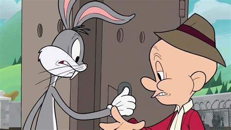 Looney Tunes Bugs Bunny Escapes Elmer Fudd Youtube