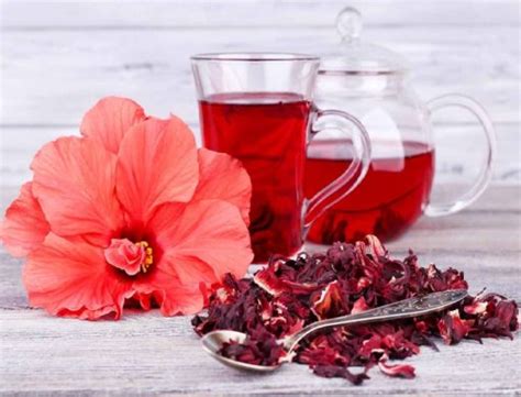 Semua posting tentang mewarnai gambar. 10 Manfaat Teh Kembang Sepatu dan Cara Membuatnya ...