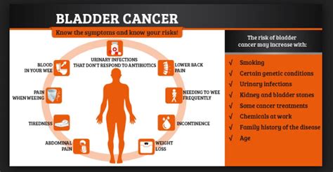 Bladder Cancer Causes Symptoms And Treatments