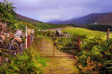 Gates On The Road Wicklow Hills Ireland Photograph By Jenny Rainbow