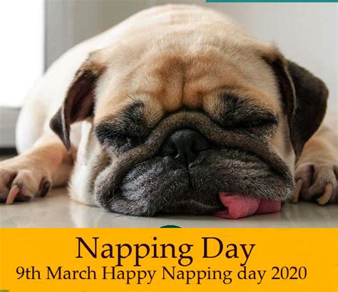 Napping Day 15th March Happy Napping Day 2023 Daily Event News