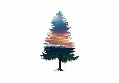 Minimalist Tree Simple Nature Wallpapers Backgrounds Abstract
