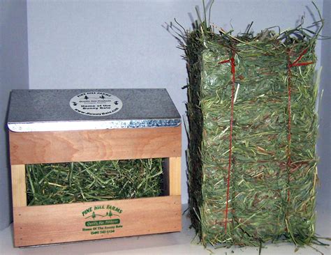 As grazing animals, rabbits usually eat a variety of grass. Hay For Rabbits - What Type Of Hay Is The Best For My Bunny? | HubPages