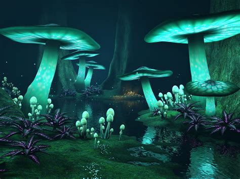 Волшебные грибы картинки 29 фото