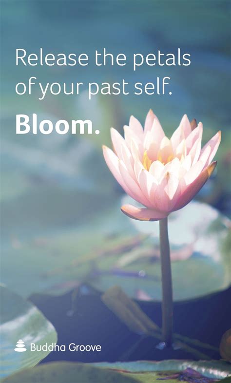 Inspiration From The Lotus Flower Release The Petals Of Your Past