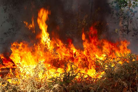 Disaster Declared In New Mexico Wildfire Zone