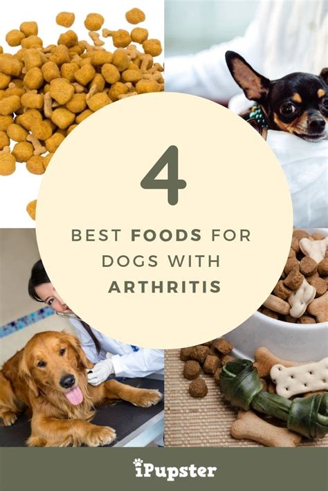 Top 6 dog food for arthritis of 2020. Arthritis Dog Food Reviews: What is The Best Dog Food for ...