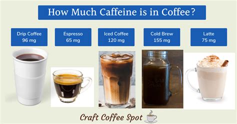 How Much Caffeine Is In Coffee 14 Drinks Reviewed