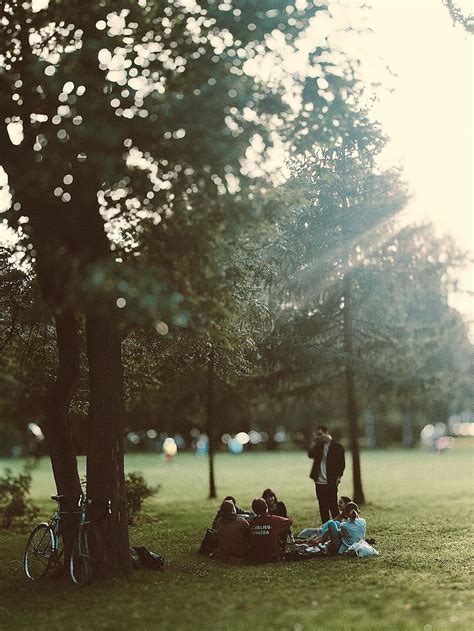 People Meeting Park Group Man Woman Nature Tree Grass Sitting