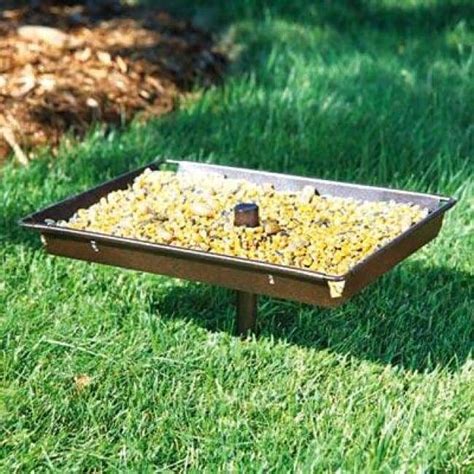 Create A Versatile Feeding Station In Your Sanctuary With The Stokes