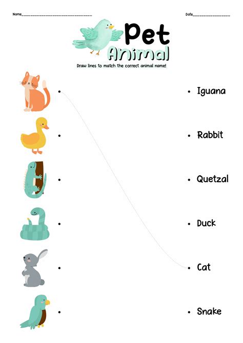 Printable Preschool Pet Theme Worksheets