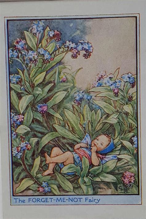 Flower Fairy Mounted Vintage Print Forget Me Not Fairy Cicely Etsy Uk