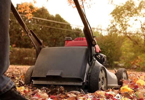 Wsmagnet Blog Your Fall Yard Work Checklist For Reaping Benefits