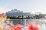 Ausflugsziele Luzern: das sind meine top Tipps für Ausflüge