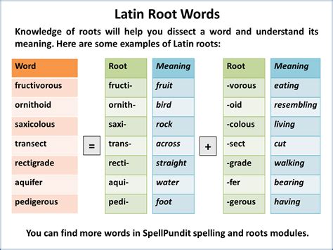 Latin Root Words Spellpundit