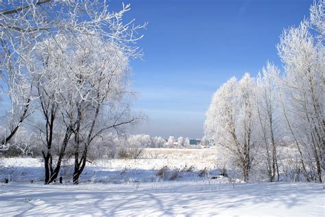 Free Photo Winter Landscape Snow Nature Free Image On Pixabay