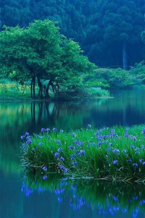 Pin By Bianca On Blue And Green Nature Photography Nature Scenes Nature