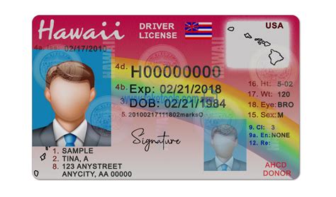 Photoshop Drivers License Template Ecohon