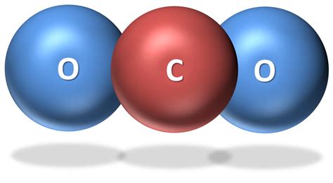 5 Important Sources Of Greenhouse Gases