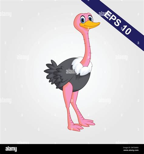 Cute Ostriches Animal Cartoon Illustration Stock Vector Image And Art Alamy