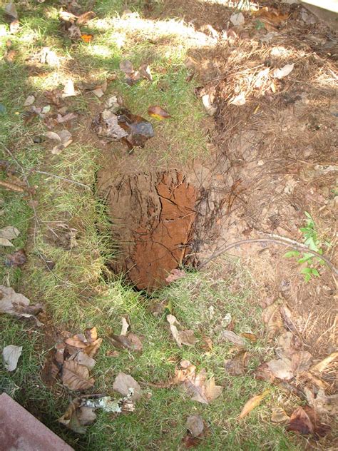 Sinkholes In The Landscape Walter Reeves The Georgia Gardener