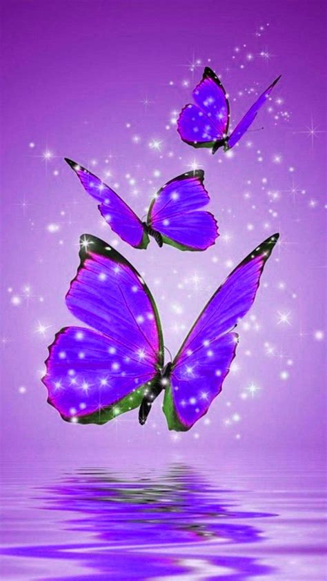 Purple Butterfly Background Ixpap