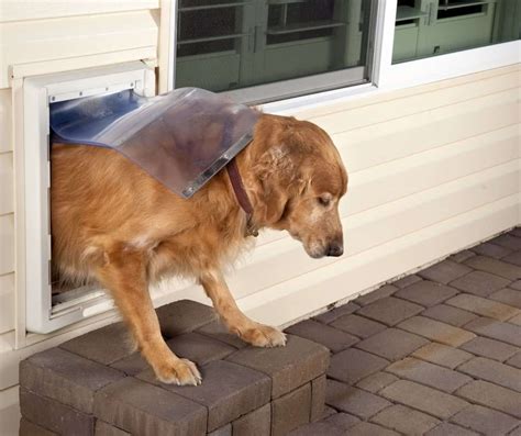 7 Best Dog Doors For Large Dogs In 2022 Story Telling Co