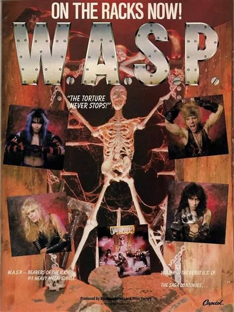 147 Best Wasp Images On Pinterest Wasp Heavy Metal And Hard Rock