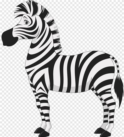 97 Gambar Kartun Zebra Images Myweb