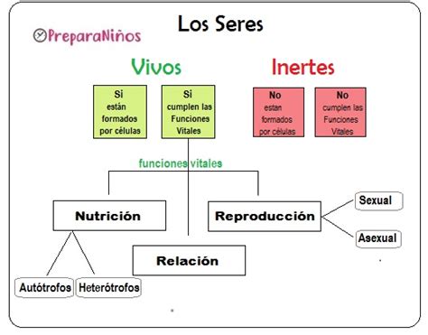 Seres Vivos E Inertes Preparaniñ