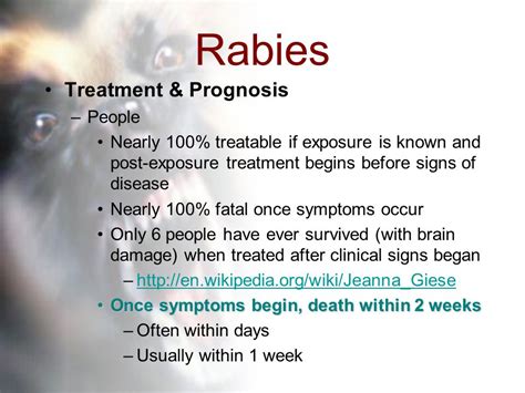 Rabies Early Symptoms In Humans Rabies Symptoms And Causes