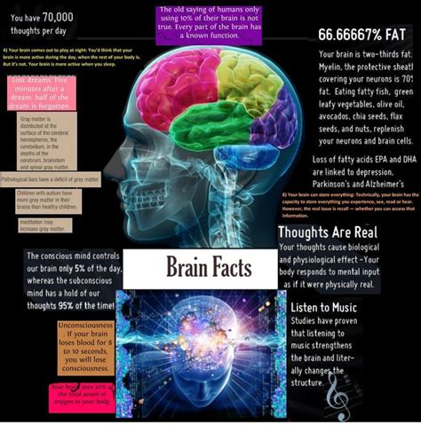 Brain Facts Brain Facts Best Brains