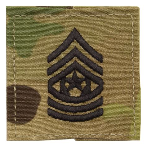 Army Scorpion Command Sergeant Major E 9 Rank Sew On Flying Tigers