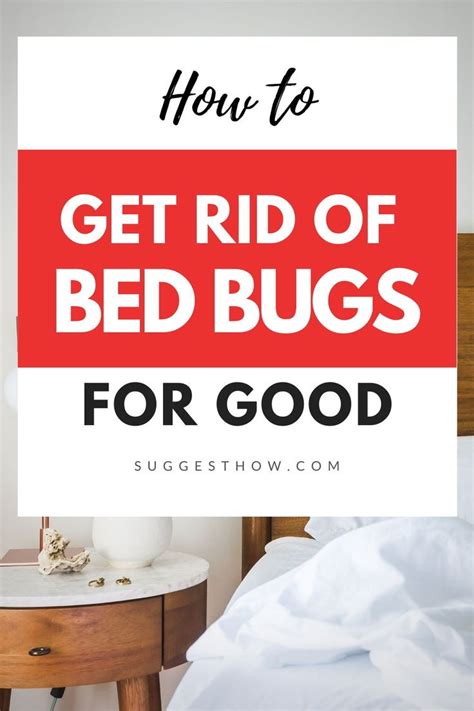 How To Get Rid Of Bed Bugs For Good Easy 7 Steps Guide Rid Of Bed