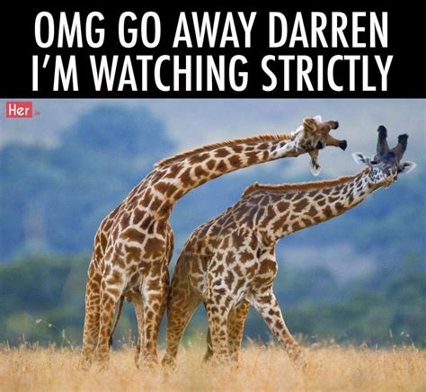 We Turned Stunning Wildlife Photography Into Relatable Memes For World