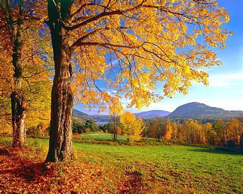 Vermonts Stunning Vermont Fall Desktop Backgrounds In Vivid Colors