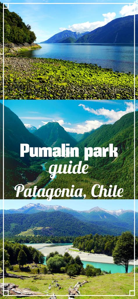 Complete Guide To Pumalin Park Patagonia Chile All You Need To Know