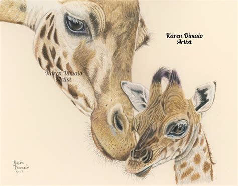 A Mothers Love Portrait I Drew In Colored Pencil Of Giraffe Momma And