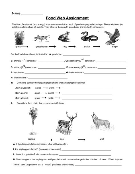 Arrows on this food web. Food Web Assignment - Worksheet - Tuesday, May 28, 2019 ...