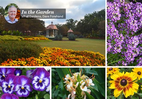 Fall Is Blooming Bright At The Dallas Arboretum Dallas Arboretum And