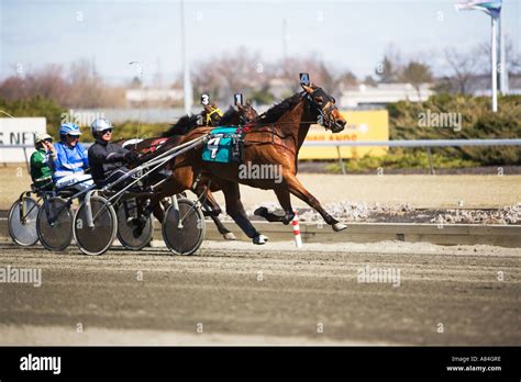 Horse Cart Racing America Hi Res Stock Photography And Images Alamy