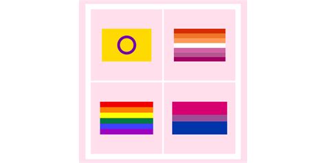 These lgbt pride flags represent the lgbt movement as a whole with sexual orientations, gender identities, subcultures, and regional purposes. 13 LGBTQ Flags - All LGBTQ Flags Meanings & Terms