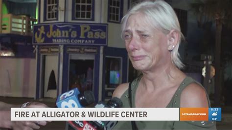 Fire Kills Animals At Alligator And Wildlife Discovery Center Fhp