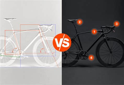 Bike Sizing Vs Bike Fitting Die Unterschiede