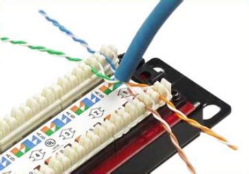 Category 5 cable (cat 5) is a twisted pair cable for computer networks. How to Wire Cat5e Patch Panels? | FS Community