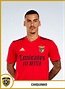 Chiquinho Benfica : Chiquinho Habilidades Pro Evolution Soccer - Ele ...