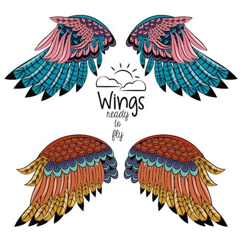 conjunto de desenhos de asas coloridas vetor premium